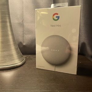 Google Nest Mini (New)